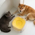 Pets' Floating Dringking Bowl - Image 4