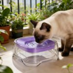 Pets' Floating Dringking Bowl