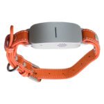 AI Smart Collar for Pet - Translation,Motion Tracking