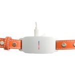 AI Smart Collar for Pet - Translation,Motion Tracking - Image 4