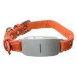 AI Smart Collar for Pet - Translation,Motion Tracking - Image 2