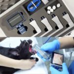 VETERINARY VIDEO LARYNGOSCOPE CR-31V - Image 3
