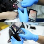 VETERINARY VIDEO LARYNGOSCOPE CR-31V - Image 4